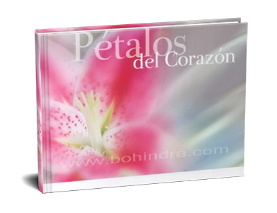 petalos de corazon